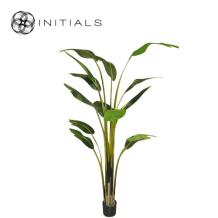 Palm Travellers Silk Green L