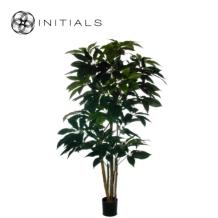 Tree Schefflera Silk Green L