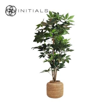 Pot Nature Osier Planter Burma Rattan Natural