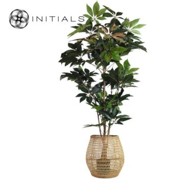 Set 2 pieces - Lantern Nature Osier Lily Burma Rattan Natural