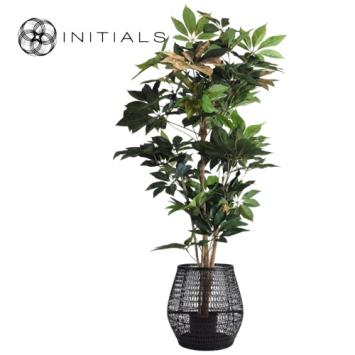 Set 2 pieces - Lantern Nature Osier Lily Burma Rattan Black