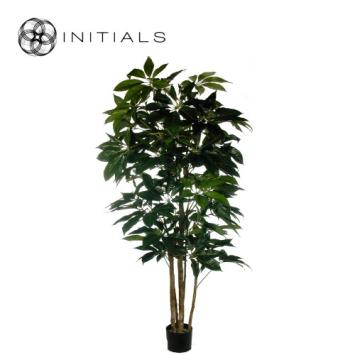 Tree Schefflera Silk Green XL