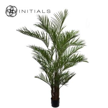 Palm Areca Silk Green XL