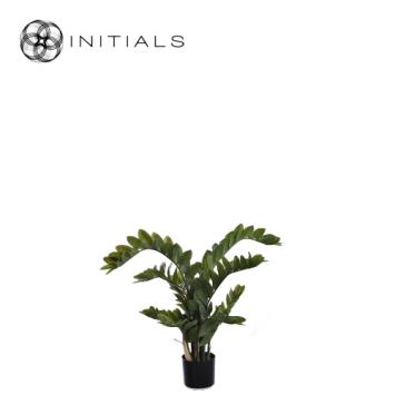 Plant Zamifolia Silk Green